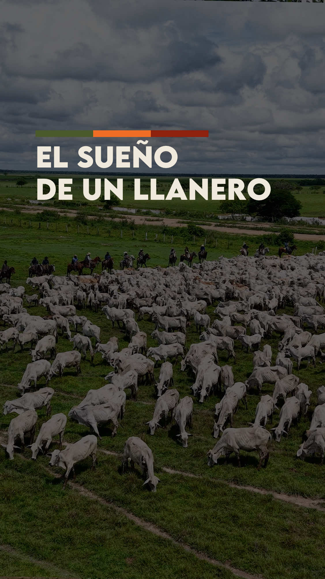 Un día de estos cuando pueda 🙏❤️ #Lorgio #llano #joropo #caballos #ganado 