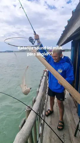 ikan HIU #laut #batam #mancing #mancingmania #mancingdasaran 