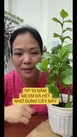 #tiktoklive #livehighlights ai mình hay gặp tình trạng #đayhoi #chuongbung hoặc #hp thì áp dụng xem sao nhé