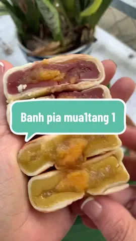 Banh pia lớn co 2vi môn đâu xanh sâu riêng 