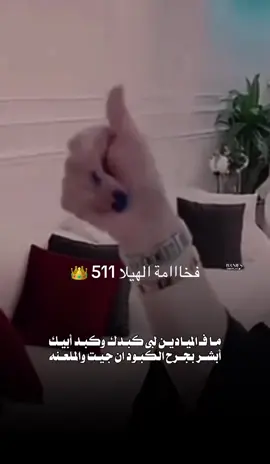 #CapCut #صباحوووو_عسل #capcutاكسبلور 