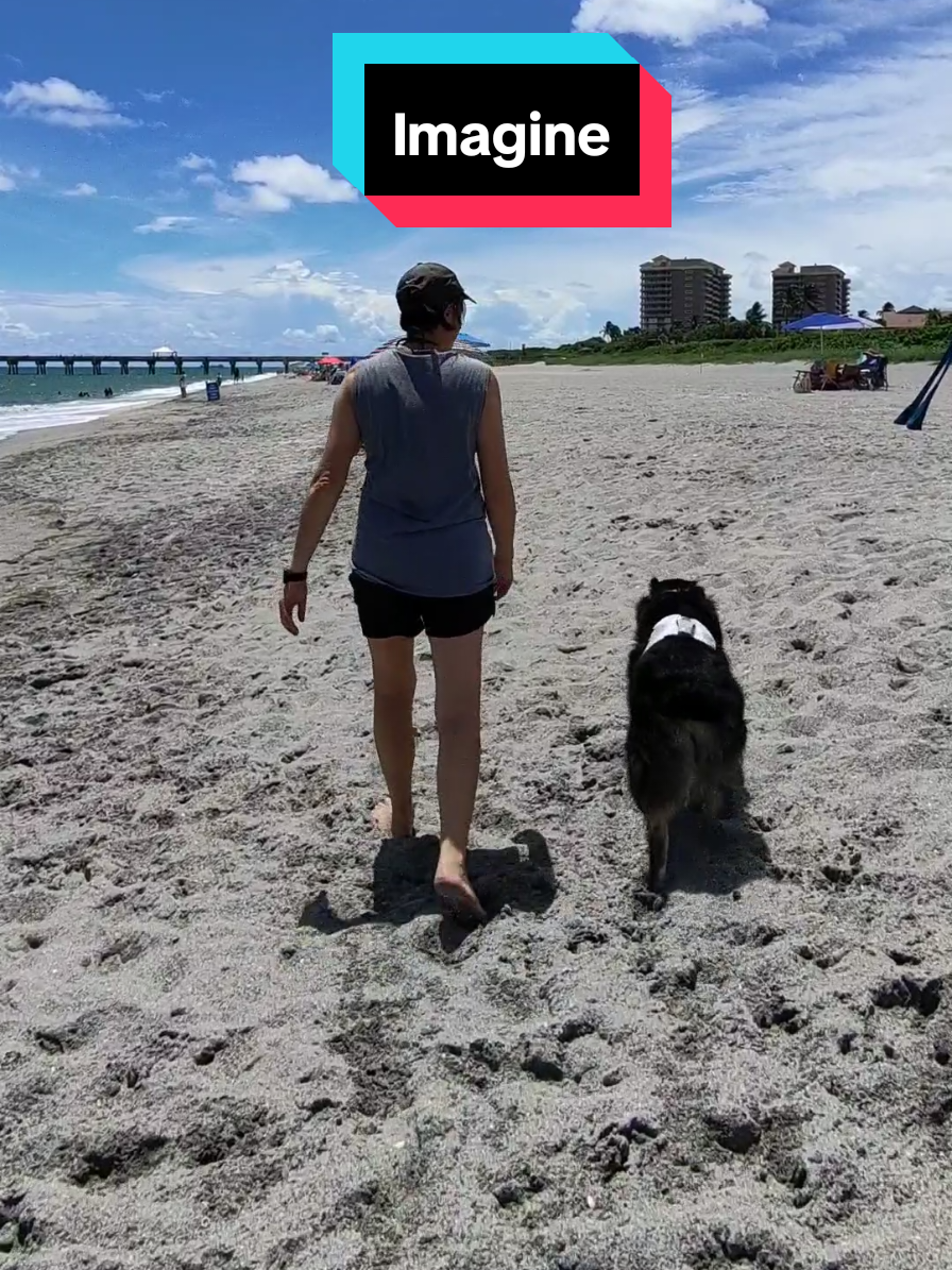 #qualitytime #dogs #beach #happy 