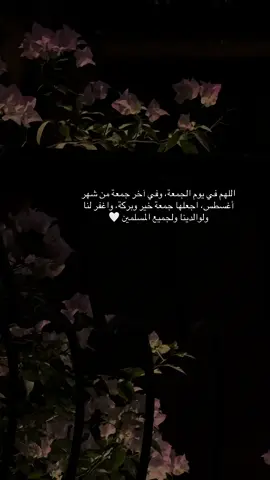 اللهم في يوم الجمعة، وفي آخر جمعة من شهر أغسطس، اجعلها جمعة خير وبركة، واغفر لنا ولوالدينا ولجميع المسلمين 🤍 #fypシ゚viral #foryou #viral #islamic_video #tawakal 