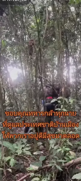 ขอบคุณทหารกล้าทุกนายที่ดูแลประเทศชาติบ้านเมือง ให้อยู่ดีมีสุขมาตลอด#รักเธอประเทศไทย #นี่คือแผ่นดินไทย🇹🇭 #ไทยนี้รักสงบแต่ถึงรบไม่ขลาด🇹🇭 
