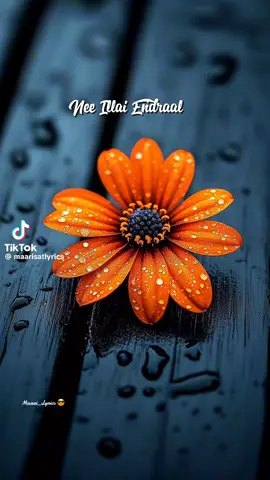 #ne_illai_enral 💕💕💕