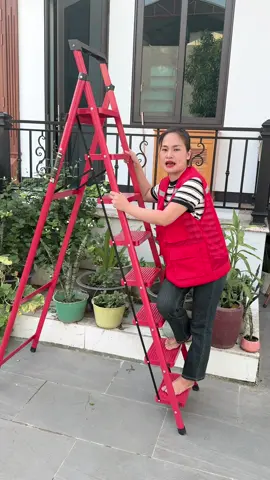 Thang gấp gọn gia đình #thanggapgon #thanggapgon 