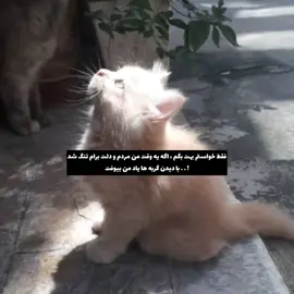 اره یاد من بیوفت