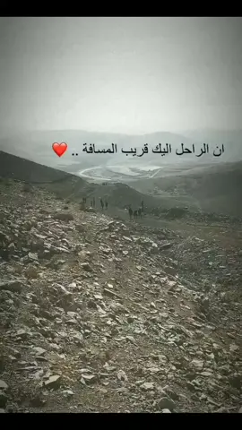 وأن الراحل اليكَ قريب المسافه #ياعلي_ابن_موسى_الرضا  #قافلة_الحسن_المجتبى_سوق_الشيوخ  #زوار #الامام_الرضا_عليه_السلام 