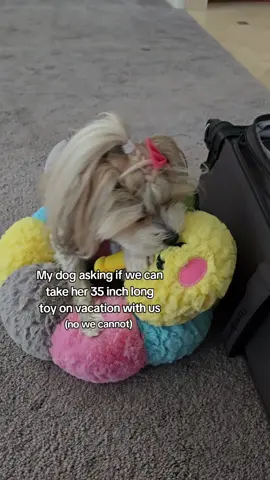 Sorry Kara, wormie will be waiting for you when we get back 