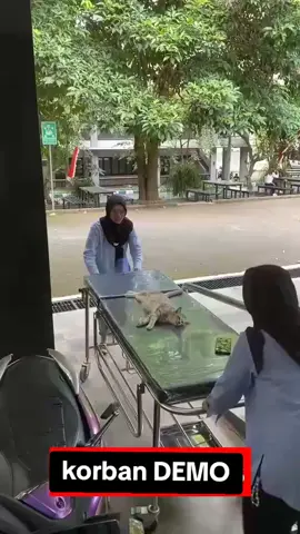 pokonya sebelum ada kepastian.. udah sembuh pasti demo lg.. 