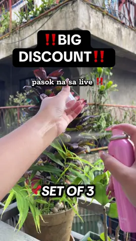 3 pcs 261 pesos, pasok na kayo sa live #bench #perfumetiktok #perfumes #fyp 