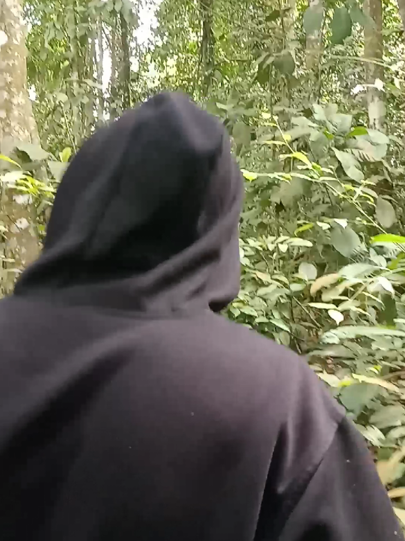 Anda takut masuk hutan  bisa call kami yaa🤪#cariburung #berburu #mikatburung 