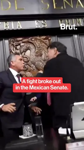 A fight broke out between two senators in Mexico. #mexico #politics #fight