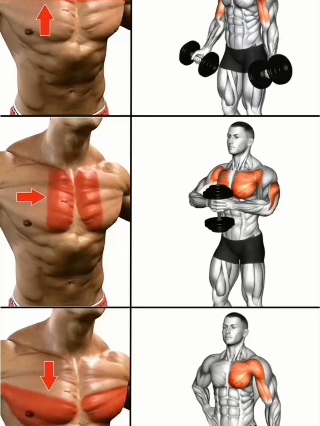 How to get bigger Chest 🔥 #GymTok #muscle #exercise #Fitness #workout #workoutroutine #workouttips #fit #fitnesstips #Chest #Chestday #Chestworkout