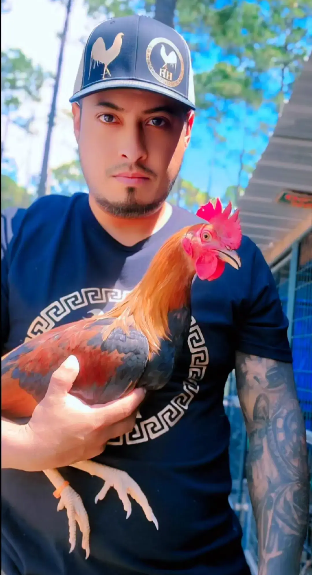 #DOBLE_HH #GALLOS_FINOS #LR #ALBANY #FYP