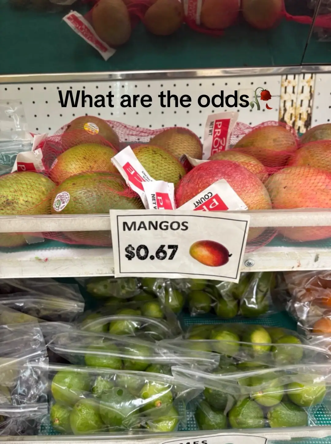 Whoever made this def did ts on purpose bro#mango#67#fyp#xyzbca 