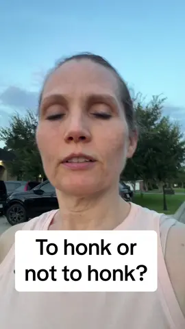 #carhorn #honk #neighborhood #neighbors #neighbor #morningroutine #morningroutines #badneighbors #suburban #suburbs #annoyingpeople 