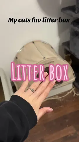 #fyp #litter #litterbox 