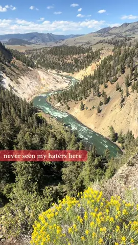 #yellowstone #yellowstonenationalpark #wyoming #beautiful #thatview 