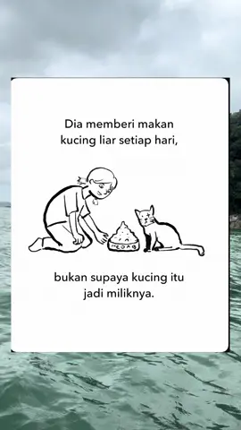 😽 #kucing #pecintakucing 