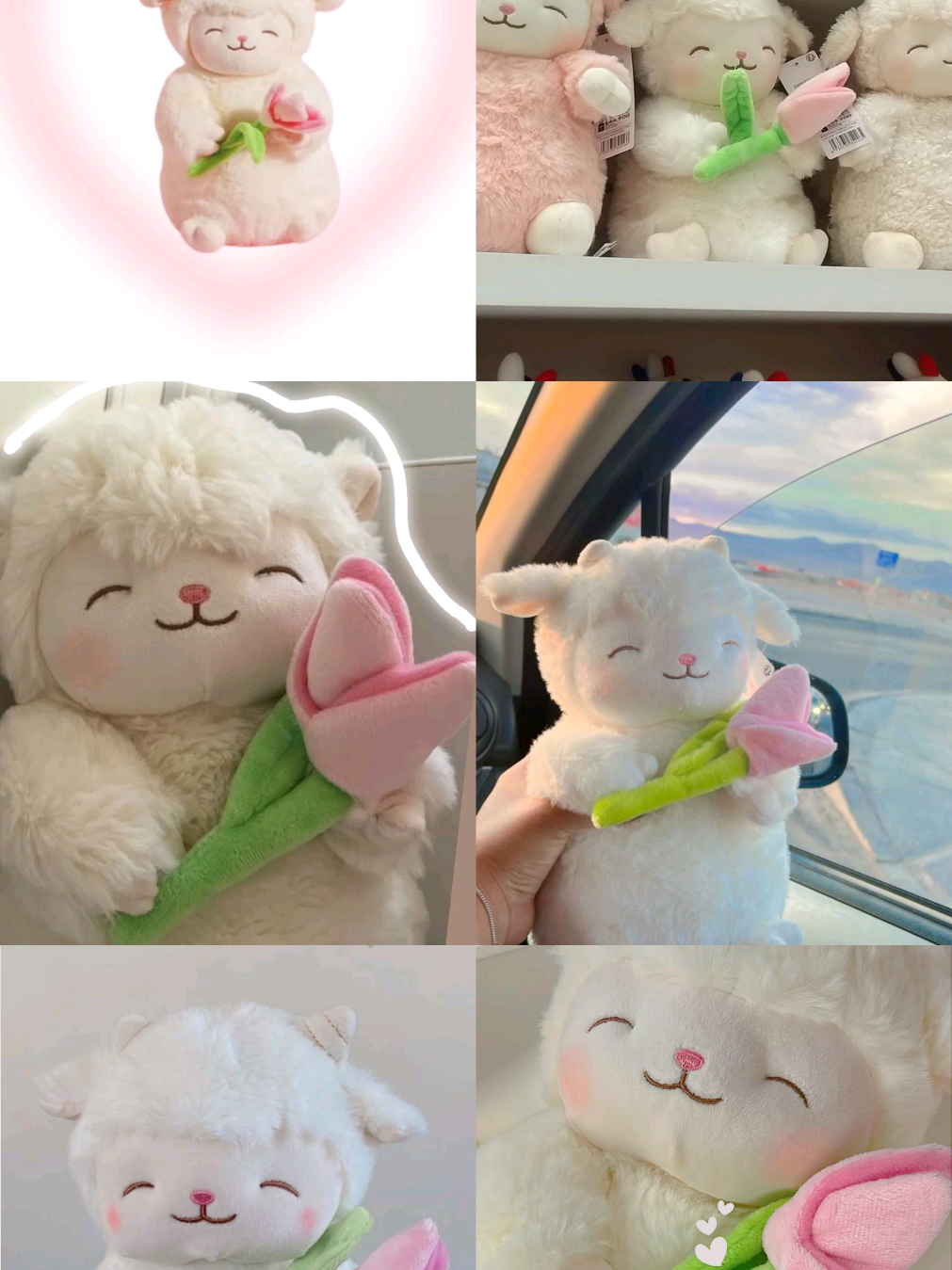 El peluche que desean las girls 🎀 El corderito Tulipan 💖🌷✨️ ¿Buscas el regalo ideal? 🎁 ¡Sorprende a tu persona favorita con este tierno corderito que lleva un tulipán 🩷 en la mano! Es un detalle lleno de amor y ternura. 💖✨️ Encuentra el tuyo al dm 927♡597♡941♡  #fyp #tiktok #corderitotulipan #corderito #huancayo 