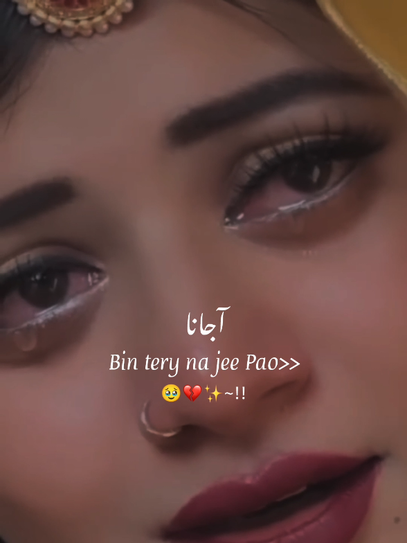 Bin Tery Na Jee pao#fyp #grow #account #trending #song 