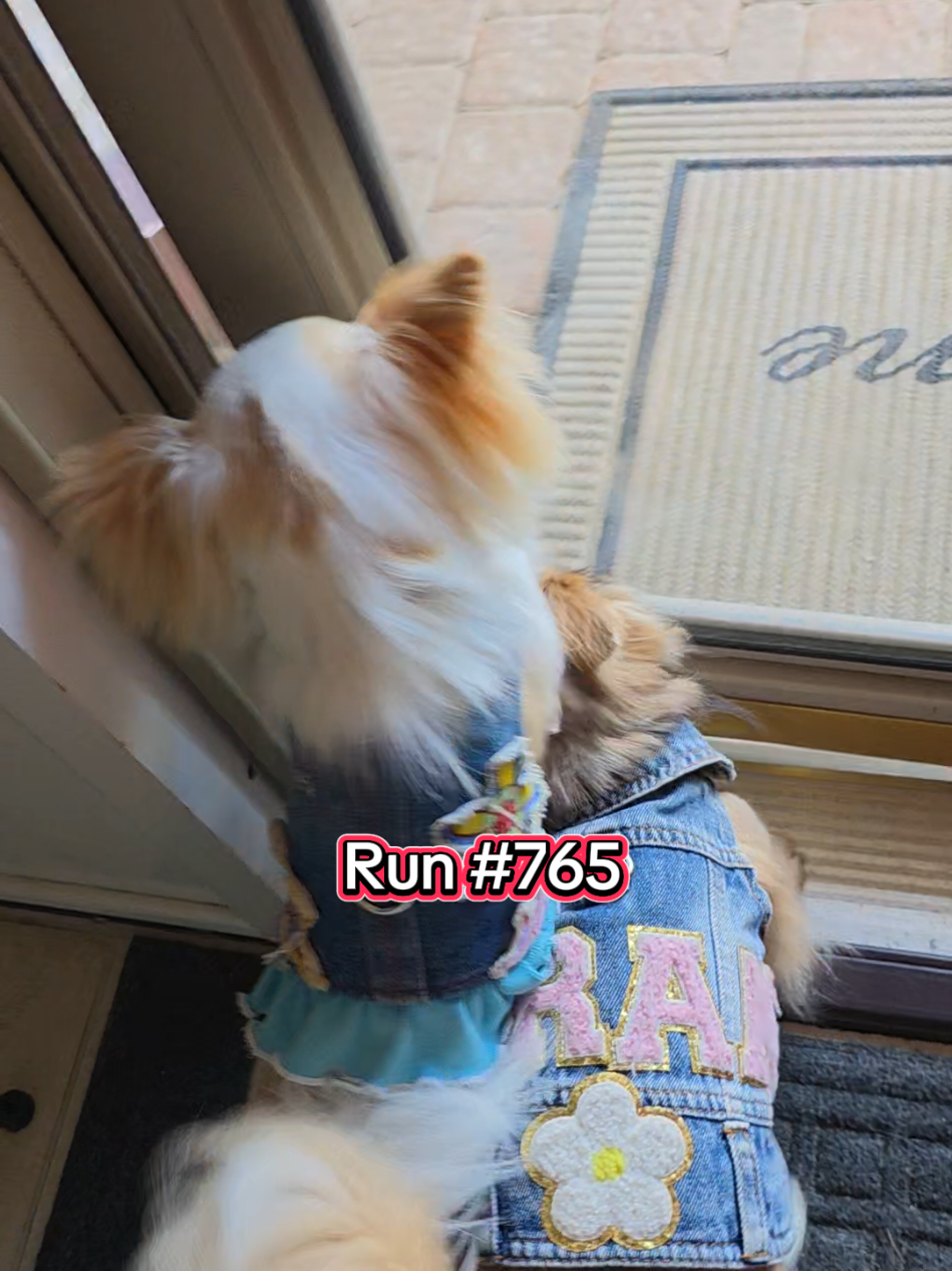 765!! #frannielife #postmandan #frandanfurever #FranDan #frannieandthebeane 
