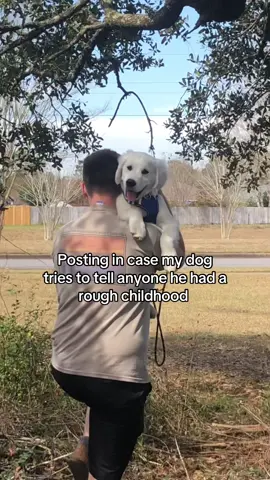 Pampered puppy is an understatement 👑😅 #fyp #bakertheenglishcream #goldenretriever #englishcream #dogsoftiktok 