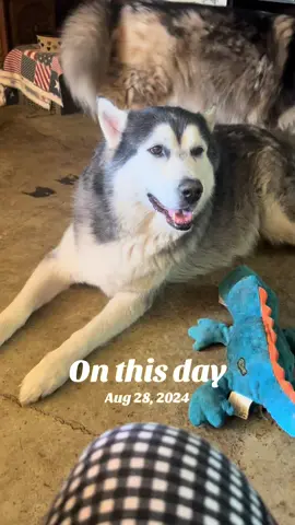 #onthisday 