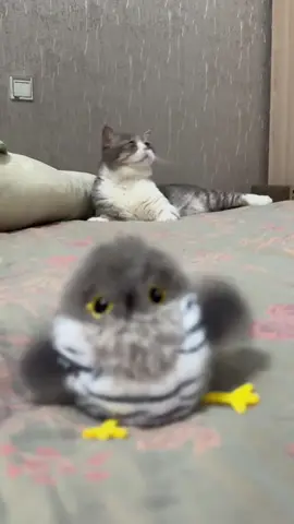 **🐦🎵 Your Cat’s New Obsession Has Arrived!**  Meet the **Flapping & Chirping Bird Toy** – the ultimate way to awaken your feline’s inner hunter with lifelike sounds and movements!  ✨ **Why Cats Go Wild for It:**  ✔️ **Ultra-Realistic Flapping & Chirping** – Triggers every hunting instinct  ✔️ **Long-Lasting Fun** – **1 charge = 24 hours** of play (Micro-USB charging)  ✔️ **Durable & Safe** – Survives even the fiercest “attacks”  #MustHaveCatToy #HappyHunter #InteractivePlay  💬 **Comment “CHIRP” to see it in action!**  👇 **Swipe to watch the acrobatics!**  **P.S.** That *”Must... catch... the bird?!”* face? **Priceless.** 😼🎯  —  **🛒 LINK IN BIO – Batteries included!**  *(Warning: May cause midnight “jungle expeditions.”)* 🌙🌿
