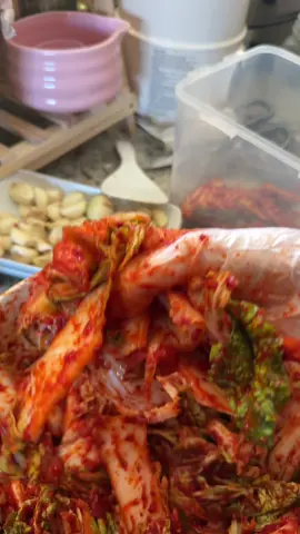 kimchi is running low. @Alissa Nguyen this is the only recipe I use every time and I’ve made it a dozen times!!  #kimchi #kimchirecipe #cooking #koreanfood #banchan 