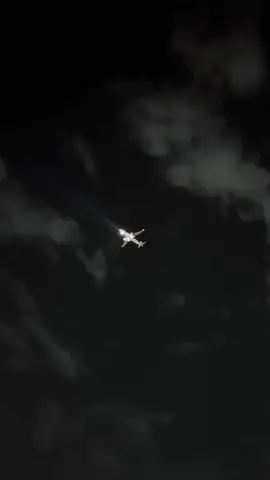 #تائه 
