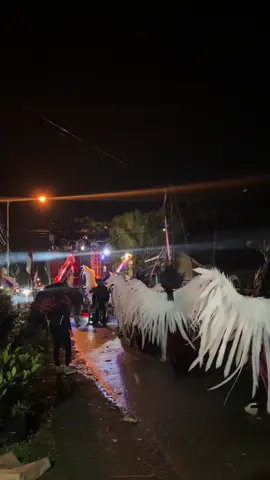 #karnavalwonokerto2025 