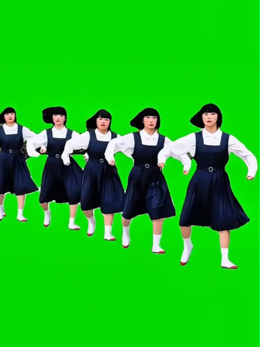 @avantgardey_ brings pure joy and style, prancing across the screen in perfect timing with “Paloma Blanca” by George Baker Selection. The graceful movements paired with the nostalgic, upbeat track make this green screen meme template perfect for edits, parodies, or just adding your own captions to the carefree energy. A mix of elegance and comedy that’s built for TikTok. #Avantgardey #BestFriendMeme  #GreenScreenTemplate #DanceMeme #TikTokTrend 