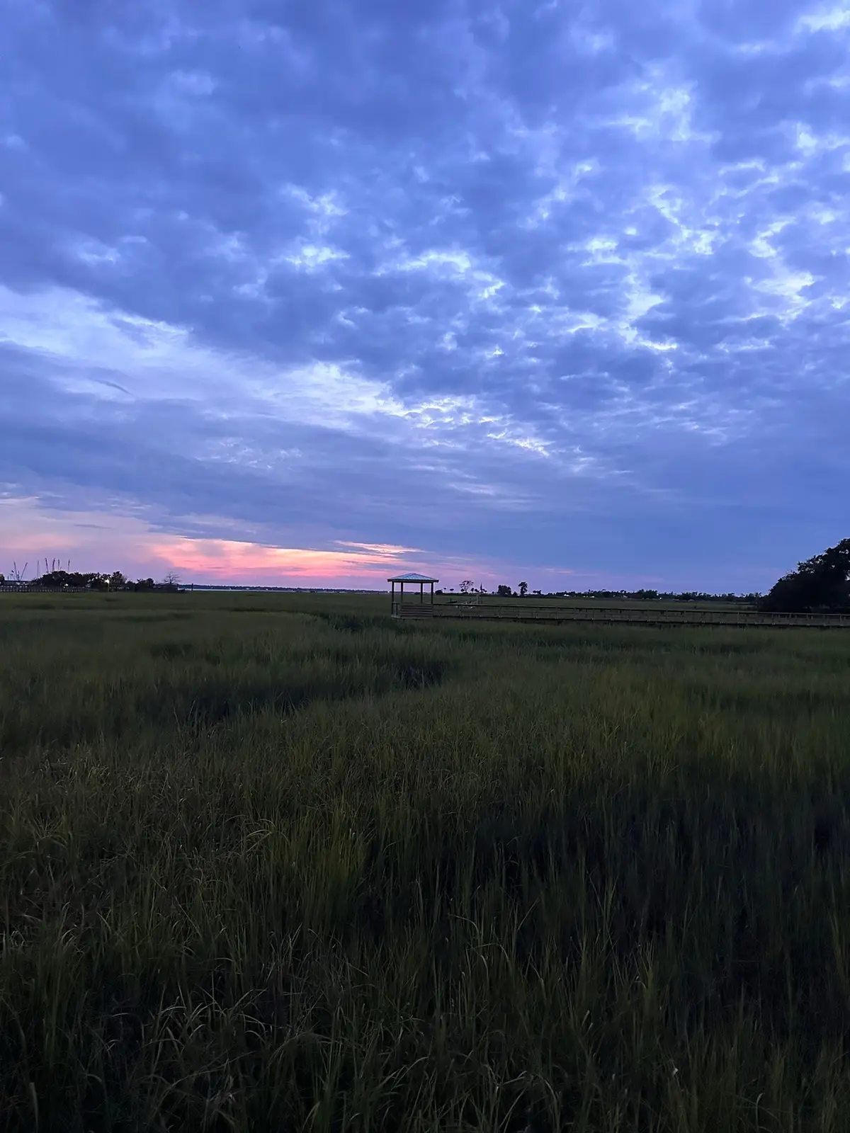 #chs 