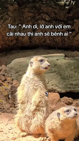 A sẽ bênh ai ??? #GreenCreator #VinWonders #WonderSummer2025 #dulich #xh 