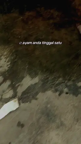 POV jagoan ku tinggal satu