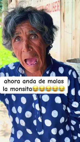 #viral #paraty #monse #chihuahua #viralvideo 