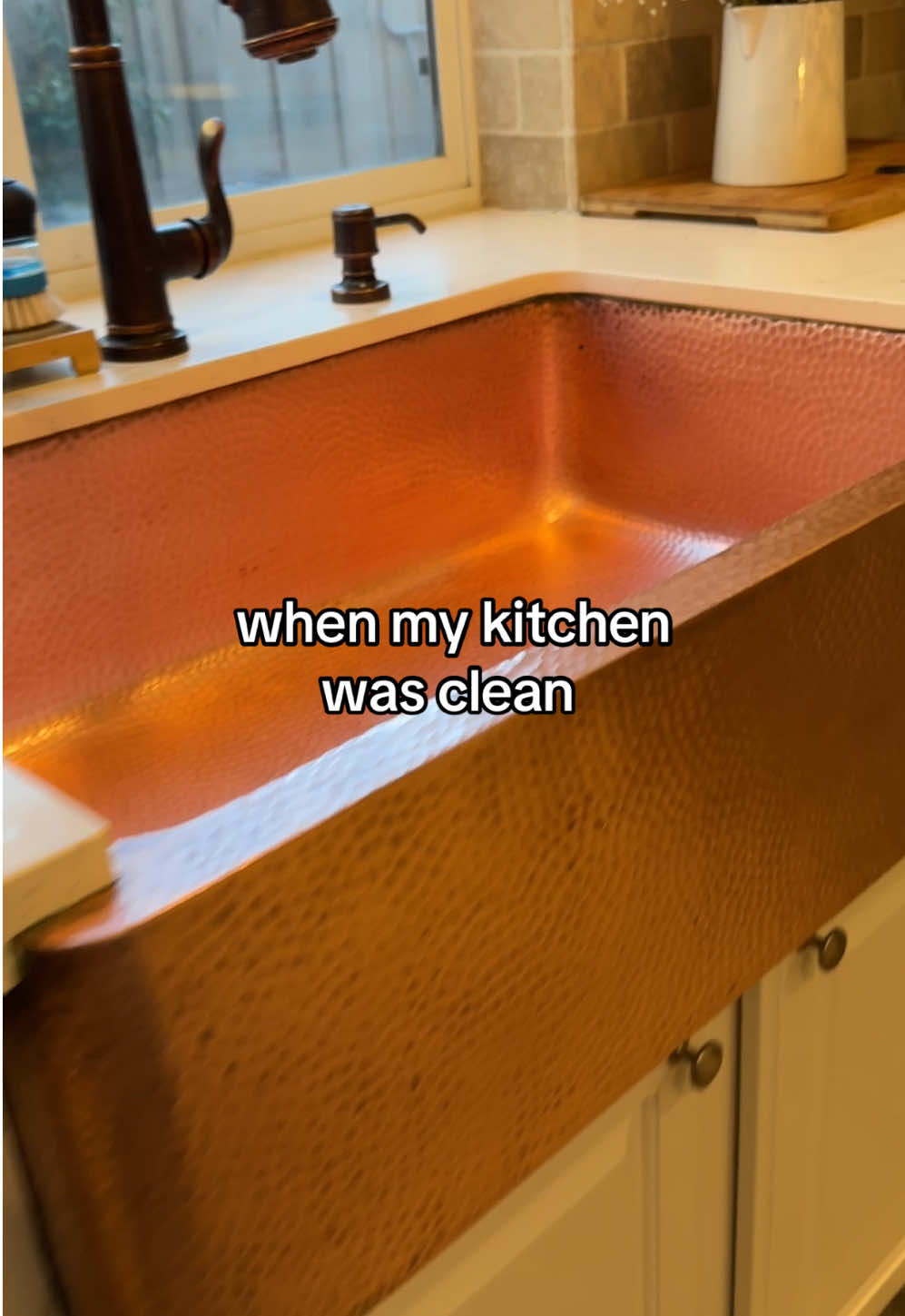 That one time…. #cleaningtiktok #clean #organizedhome #KitchenHacks 