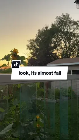 it’s almost fall 🍂👻 #ghosts #trending #fall #spookyseason #garden 
