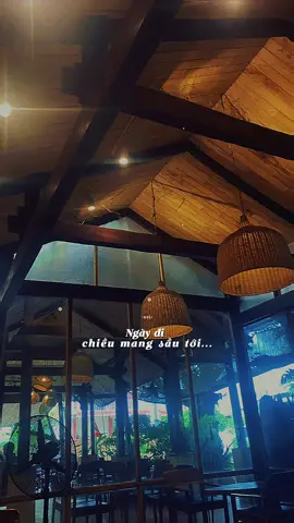 THU CA - QUANG DŨNG #tramcamxuc  #nhachaymoingay  #nhactamtrang  #nhacbuon  #thuca