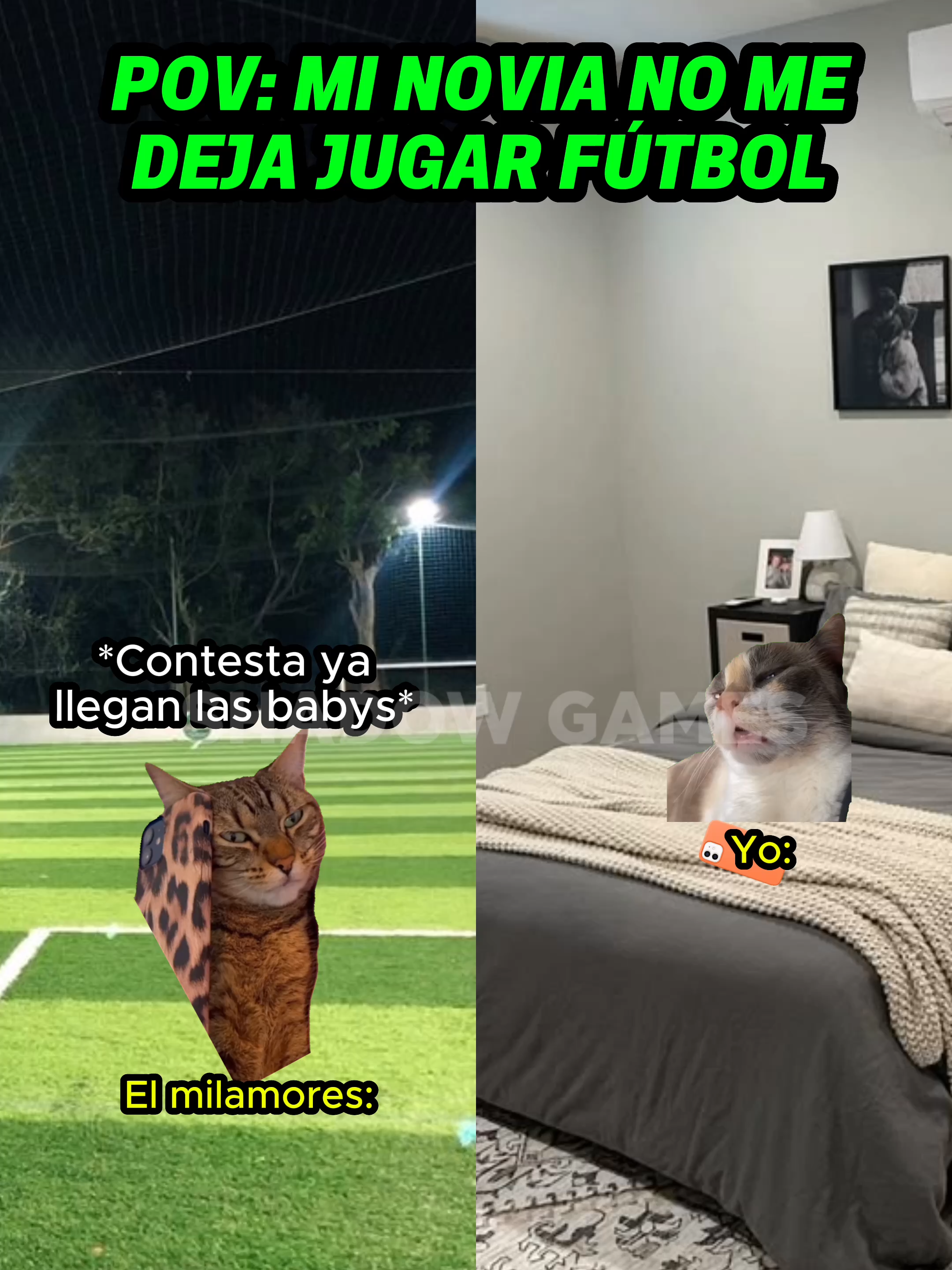 Mi novia no me deja jugar futbol #gatitoslindos #storytime