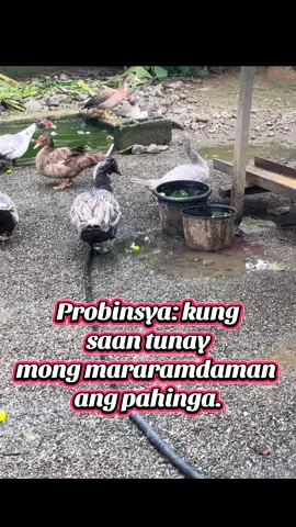 Buhay province😊