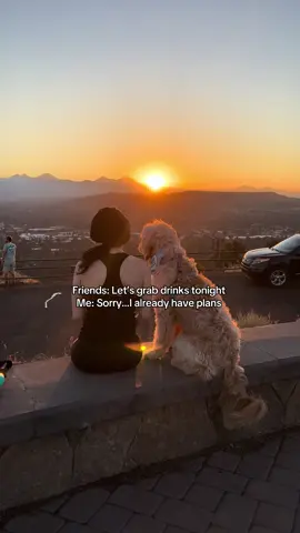 Sorry I have plans with my dog 💁🏻‍♀️ #doglove #goldendoodle #dogmom #