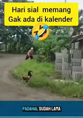 #Hari Sial Emang Gak Ada Di Kalender...😅😂