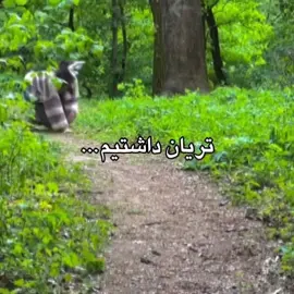 تنها تریانی که ساپورت میکنم بهتاشه  #foryou #پایتخت #بهتاش #تریان #therian 