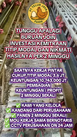 EMANG YA ADA  BISNIS YANG MENJANJIKAN CUAN BESAR TAMPA KERJA KERAS??              ADA DONG  SAATNYA KERJA PINTAR  CUKUP TITIP MODAL 3,6 JT  KEUNTUNGAN 10,743,000 JT PEMBAGIAN KEUNTUNGAN / PROFIT 2 MINGGU SEKALI  ✅ KAMI YANG KELOLA  ✅ KANDANG DARI PERUSAHAAN  ✅ PANEN 2 MINGGU SEKALI  ✅MOU KERJA SAMA BERNOTARIS  ✅ CCTV PERUSAHAAN ON 24 JAM #peternakmuda #peternaksukses #investasi #mitratitipfarm #petrnakayamindonesia 