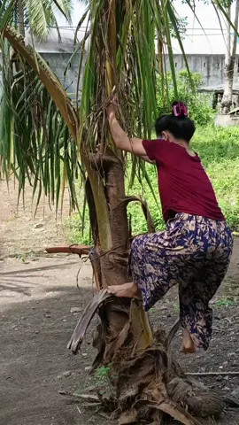 enak aja kembalikan🤣