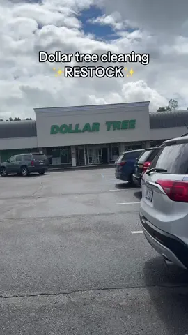 @Dollar Tree #housecleaner #housecleanersoftiktok #housekeeper #dollartreecleaning #cleanwithdenise 