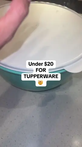 Under $20 for Tupperware wowwwww #tupperware #tiktokshopcreatorpicks #tiktokshoplabordaysale #bowl #tupperwarechallenge 